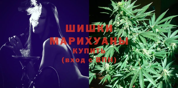 крисы Абдулино