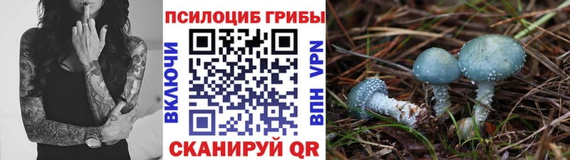 магазин продажи   Татарск  Галлюциногенные грибы ЛСД 