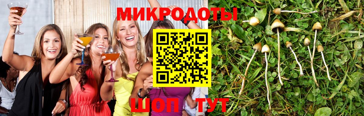 Татарск  Галлюциногенные грибы Psilocybe  Вход с VPN 