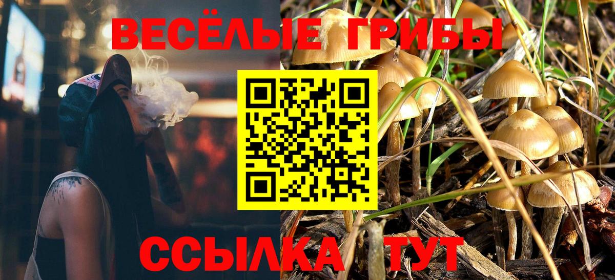 Псилоцибиновые грибы Magic Shrooms Татарск